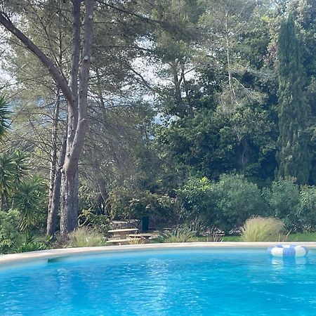 La Villa Des Carriers- Maison Avec Piscine Proche Mer Roquefort-les-Pins Exterior photo